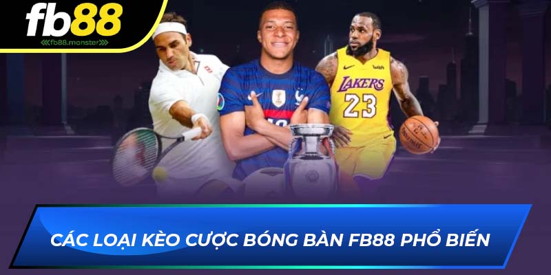 Các loại kèo cược bóng bàn FB88 phổ biến