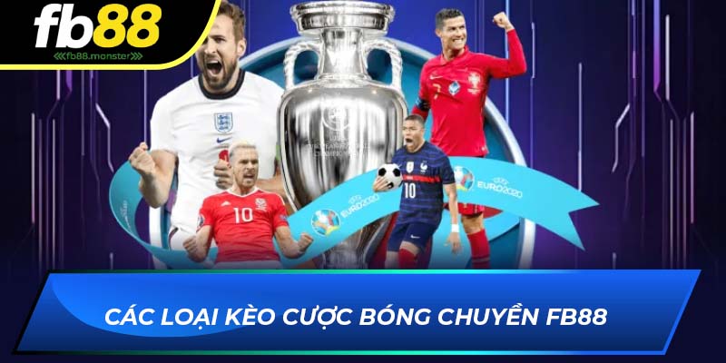 Các loại kèo cược bóng chuyền FB88